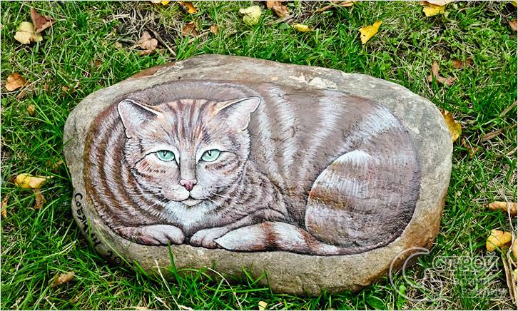 Кошка на камне